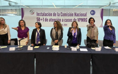 Instalación de la Comisión 50+1 VPMRG